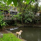 Rancho Margot - All meals included