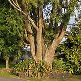 Broadway Lodge Motel