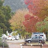 Breeze Holiday Parks - Halls Gap