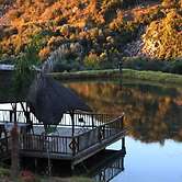 Emahlathini Guest & Monkey Farm