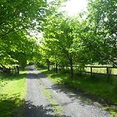 Australian Home Away at Wonga Park Brushy Creek