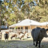 Margaret River Hideaway