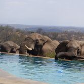 Mbizi Bush Lodge