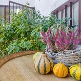 Countryside House Gal