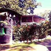 Madre Selva Jungle Hostel