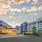 Holiday Inn Orlando International Dr-ICON by IHG