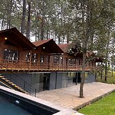 PINE TREE Hotel Boutique & Cabañas