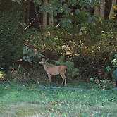 GLOBALSTAY. Paradise Marina Place