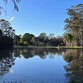 Maleny District - Charming Cottage in Witta 2 Beds