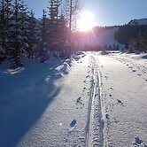 Apartment for Allergy Sufferers Near the Waterfall