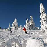 Ferienwohnung im Bayerischen Wald mit Sauna