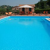 Villa in Lazio With Pool and Vineyards