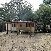 Cosy Mobile Home in Toscana With Shared Pool