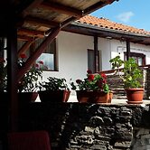 The Sharkov House