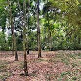 Hotel Sunrise Guamal