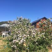 Seaside Log Cabin, Carna