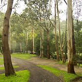 Tarra Valley Retreat