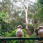 Neogaia Bed & Breakfast