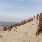 Dune Chalet Between Golf Course and Sea Beach in Hollum
