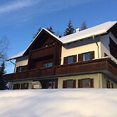 Apartment in Fresach Near Millstattersee With Pool
