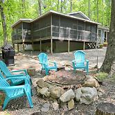 Bear Necessities -forget Your Worries!