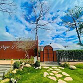 papa q suite resorts