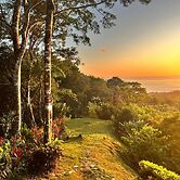 Luxury Jungle Haven Ocean View Infinity Pool