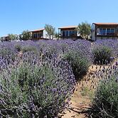 Montevalle Resort and Spa