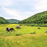 Pet-friendly Roxbury Farmhouse on 350 Acres!