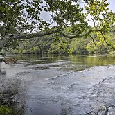 Shenandoah River Getaway < 9 Mi to Downtown Luray!