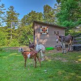 Rustic & Authentic Farm Stay by Dupont Forest!