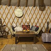 Yurt Located in a Little oak Grove