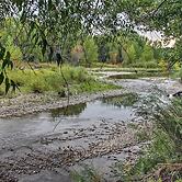 Cozy Angler's Apt - Steps to Trout Fishing River!