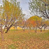 Sunny La Verkin Studio - 20 Mi to Zion Nat'l Park!