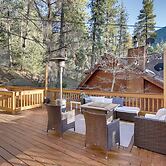 Peaceful & Idyllic Forest Cabin w/ Pool Table