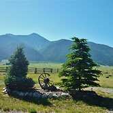 Cozy Immaculate Cabin - Peaceful Retreat!