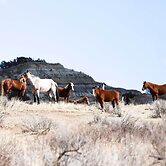 'roosevelt Suite' < 1 Mi to Teddy Roosevelt Park!