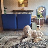 The Hand Hotel Bed & Breakfast