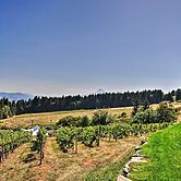Luxury Home w/ Views - 5 Min to Columbia River