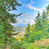 26 Mi to Mount Rainier, Game Room: Puyallup Oasis