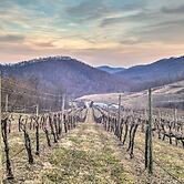 Spacious Faber Home w/ Yard, Steps to Winery!