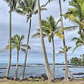 Hilo Oasis - 32 Mi to Volcanoes National Park!