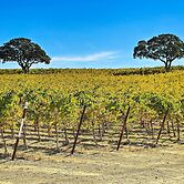Pleasant Valley Wine Trail Home - Near Paso Robles
