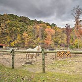 'james West' Apt w/ 50 Acres Near Raystown Lake