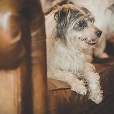 Caer Rhun Hall Hotel