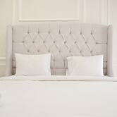 Modern Look And Warm 1Br At Gold Coast Apartment