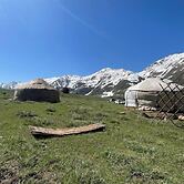 Yurt camp GREEN CAMP