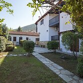 Dandy on the Hill in Parnassus Villa Pasifne up to Nine People