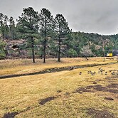 Cozy Ruidoso Condo by Grindstone Lake + Skiing!