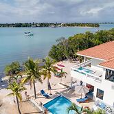 Villa Island Time Gecko